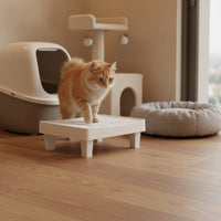 Cat Litter Step Platform Stable Pet Accessory Indoor