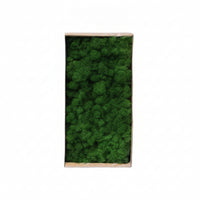 artificial Foliage Easy to Use Decorative Spreading Ground Cover-Maintenance Plants for Crafters, Florists, Home Decor, Terrariums