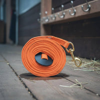 Horse Lunge Line High-Visibility Horse Lunging Rope Easy to Grip for Riders