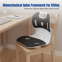 Lumbar Support Seat Pad, Ergonomic Posture Chair, Students, Office