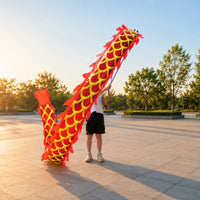 Dragon Dance Prop Scale Pattern Festival Item for Performance, Children
