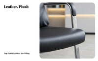 Cantilever Base Chair High spine comfort Office Furniture Modern appearance Padded Armrests for managerials