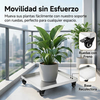 Base for Heavy Planters, Square Metal with 2-Inch Wheels, Rolling Cart 45kg for Indoor Gardening, with Drainage Tray