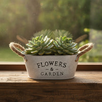Decorative Metal Planter with Rope Handles Weathered Galvanized Bucket Planter Vintage Metal Bucket with Handles Easy-Carry for Home Decorators, Windowsill