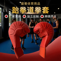 Boxing Gloves for Adults, Karate Protective Gear, Fitness and Combat Training