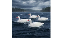 Textured Fullbody Snow Goose Decoy Sturdy Goose Floater Decoy One-Piece Fast Setup for Hunters, Pond, Garden
