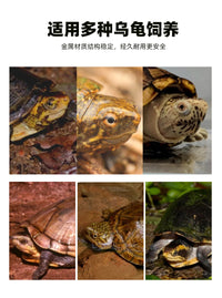 乌龟保温盒发色专用养龟缸孵化饲养箱黄缘龟蛋龟育苗隔离盒沉淀板