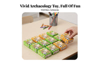 Creative Gift Miniature Excavation chunk excavate and Discover Educational Toy Hands-On exploration surprise Box Includes Tools for Children, Students, Aspiring Archaeologists, birthday celebration, School function, Classroom, Home