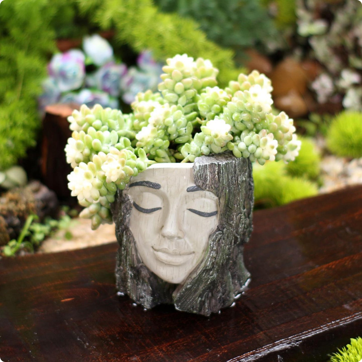 Tree Facial Planter Outdoor Tree Trunk Planter Crafted Aesthetic Garden Decor for Yard