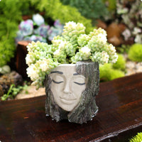Tree Facial Planter Outdoor Tree Trunk Planter Crafted Aesthetic Garden Decor for Yard
