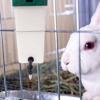 Rabbit Drinking Bottle Automatic Water Bottle with Stainless Steel Nozzle
