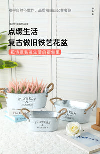 【严选】椭圆形铁皮花盆田园多肉铁艺花盆复古白色阳台盆栽花器桶