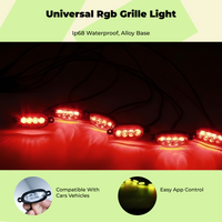 APP RGB car grille light