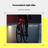 Brake tail light, waterproof, USB-C.