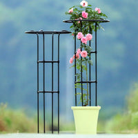 Third Generation Plant Climbing Frame Umbrella Type for Roses, Thickened Garden Support, Iron Pipe with Plastic Coating