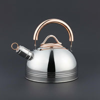 Stovetop Whistling Tea Kettle Induction Compatible Homeware Easy to Clean