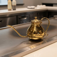 Gooseneck Kettle Precision Pouring Long Spout Pot Versatile Pour-over Coffee Pot for Baristas, Cafe, Restaurant