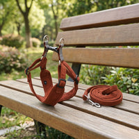 Vest Style Harness and Leash Set for Outdoor Walking, Suede Dog Vest Harness for Small Medium Dogs and Cats, Non-Retractable Dog Walking Leash