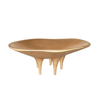 Irregular Decorative Tray Polished Catchall Elegant for Tabletop