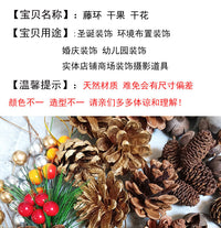 圣诞花环装饰婚庆藤圈手工diy编织松果干花藤条幼儿园藤环创材料 白色20厘米