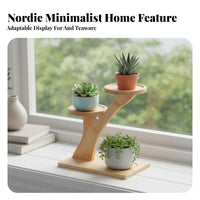 Multi-Level Succulent Rack Staggered Levels Multi-Tier Tabletop Stand for Desk