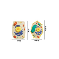 Hands-on Learning DIY Cell Model Kit STEM Toy Creature and Plant Cell Model Promotes Creativity for Students, Teens, Classroom