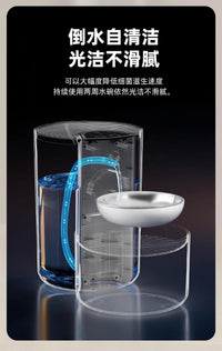 Smart Constant Temperature Pet Water Dispenser with 3L Capacity