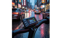 Durable Color LCD Instrument Display Shielded LCD Meter for Commuting