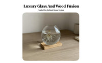Transparent Glass Hydroponic Vase Creative Design Desktop Flower Container Multi-Purpose Clear Plant Rooting Jar Artisanal for Office Workers, Home Decorators, Gardeners, Living Room, Bookshelf, Window Sill