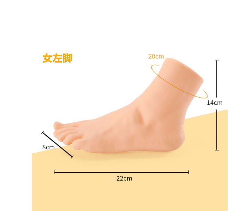 Female Left Foot