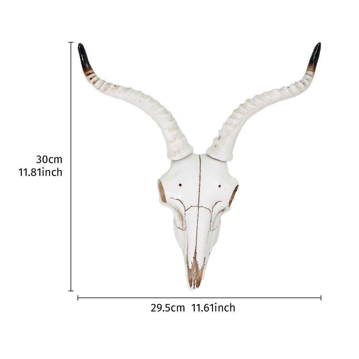 Curved Horn