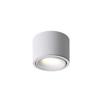 Adjustable anti-glare LED spotlight