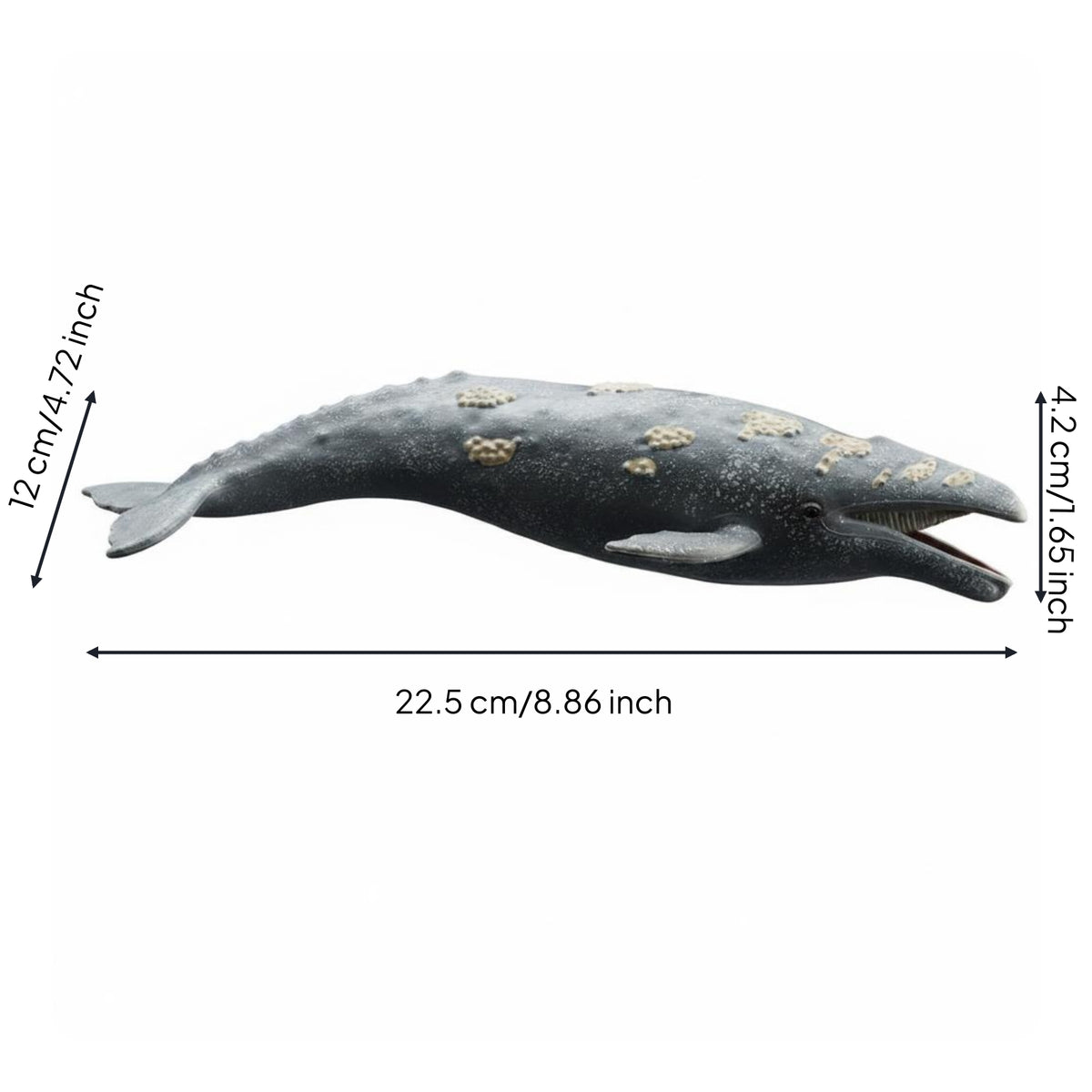 Realistic Animal Model Screen Play Marine Mammal Toy Cetacean Figure Figurine for Learning