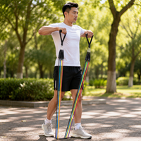 resistance band set
