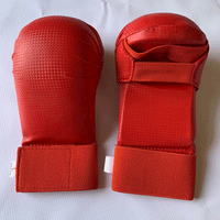 Boxing Gloves for Adults, Karate Protective Gear, Fitness and Combat Training