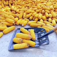 Corn Shovel with Alloy Steel Head for Harvesting