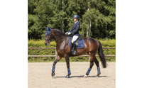 Ear Bonnet with Ruffled Edge Piped Horse Ear Bonnet Suitable fit Tack for Equestrian Training