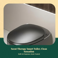Bidet toilet with heated seat.