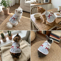 Cute Dog Dress and Cat Dress with Lace Skirt - White Plaid and Lace Skirt - Blue Plaid, Gingham Small Dog Clothes in Dopamine Style for Parties