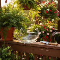 Plastic Hanging Basket Tray 14-Inch Clear Plastic Saucer Raised Rim