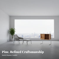 Vinyl vinyl record Storage Cabinet Minimalist Design Sideboard Floating Appearance