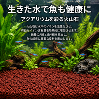 Red Pot Bottom Stone 4.54kg Porous Akadama Soil Aquarium Substrate Soil Volcanic Rock Bonsai Gardening Terrarium