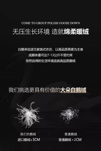 罗兰家纺羽绒被95白鹅绒冬被加厚保暖被芯学生宿舍春秋被子礼盒装