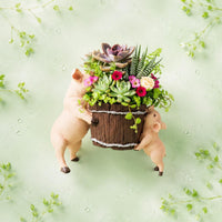 Cute Pig Resin Planter Small Plant Holder Home Decor for Garden