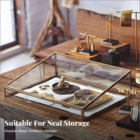Trapezoid Glass Display Case Gilded Finish Frame Lidded Glass Case Clear View