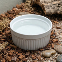 Anti-Tip Ceramic Reptile Water Bowl, Snake Accessories for Vivarium and Shedding Aid, Anti Escape Food Bowl for Geckos and Bearded Dragons