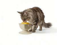 亚马逊猫狗舔食器可拆卸防滑底座带摇摆功能的舔食碗缓解宠物焦虑