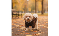 Dog Fleece Coat Soft Dog Coat with Leash Opening Full-Coverage Pet Clothing for Dogs, Pets, Cold Weather, Outdoor Trips