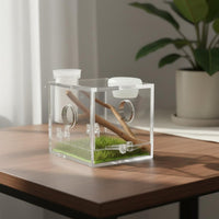 Jumping Arachnid Terrarium High Clarity Arthropod Terrarium Habitat Dimensional