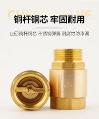 黄铜立式止回阀4分6分1寸内外丝内丝水管防逆流水表单向阀止逆阀